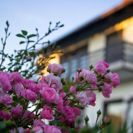 A House, Free Parking, Sauna Koprivnica Exterior foto