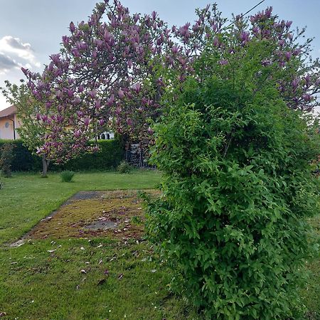 A House, Free Parking, Sauna Koprivnica Exterior foto