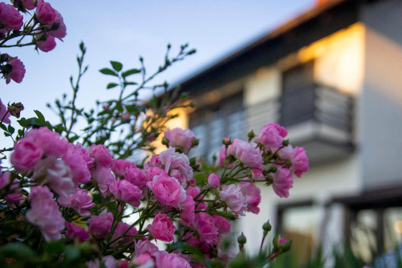 A House, Free Parking, Sauna Koprivnica Exterior foto